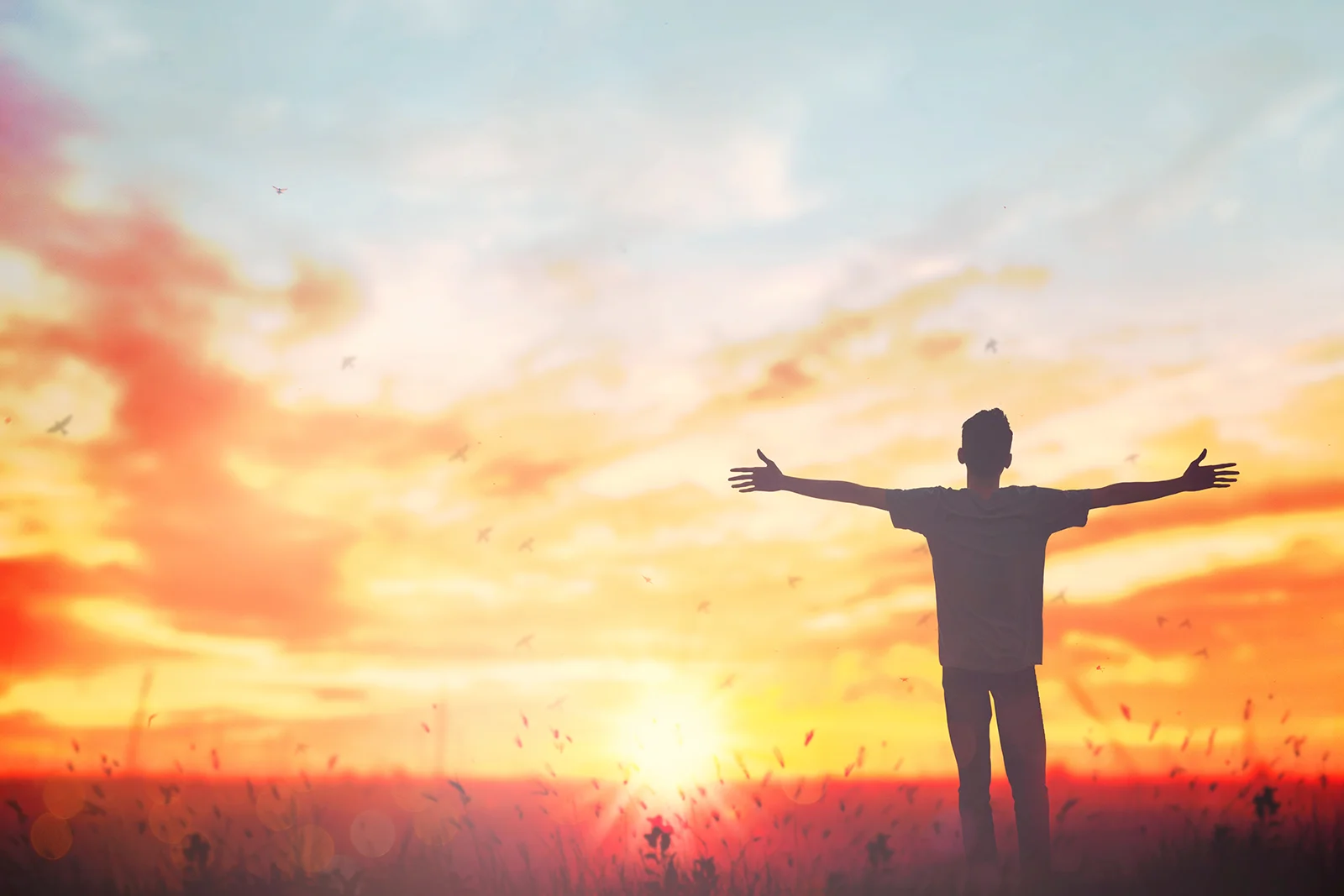 Schedule An Appointment Behavioral Health Solutions